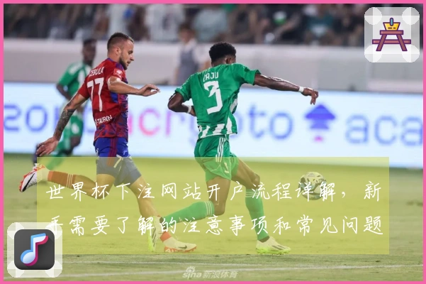世界杯下注网站开户流程详解，新手需要了解的注意事项和常见问题