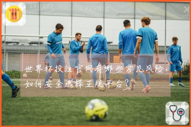 世界杯投注官网有哪些常见风险,如何安全选择正规平台?