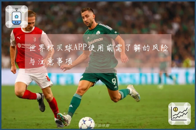 世界杯买球APP使用前需了解的风险与注意事项