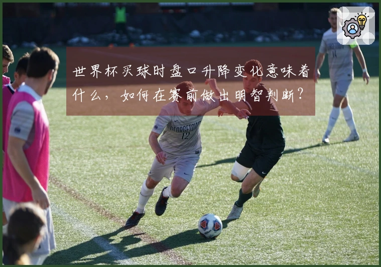 世界杯买球时盘口升降变化意味着什么，如何在赛前做出明智判断？