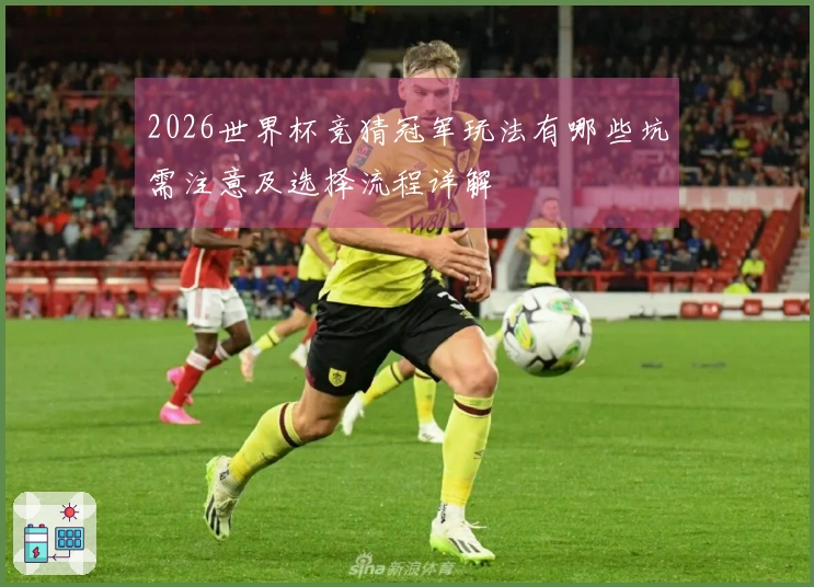 2026世界杯竞猜冠军玩法有哪些坑需注意及选择流程详解