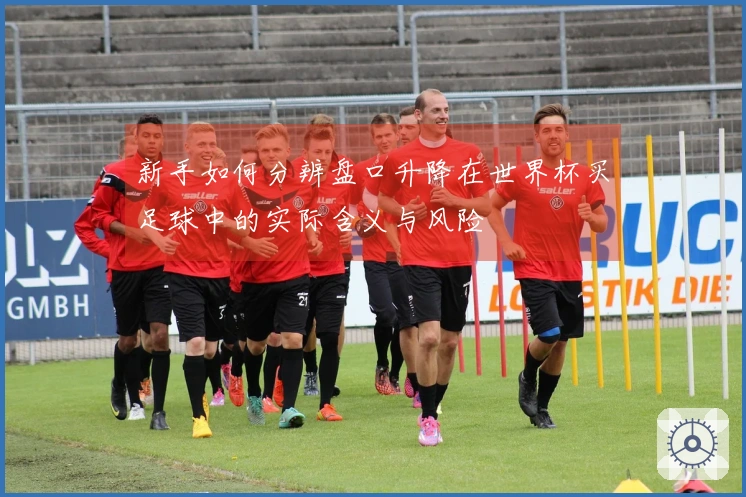 新手如何分辨盘口升降在世界杯买足球中的实际含义与风险
