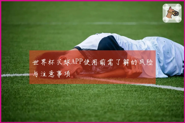 世界杯买球APP使用前需了解的风险与注意事项