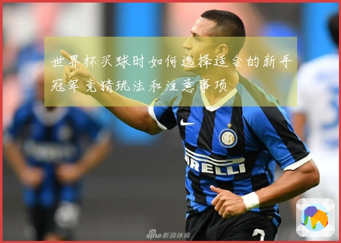 世界杯买球时如何选择适合的新手冠军竞猜玩法和注意事项