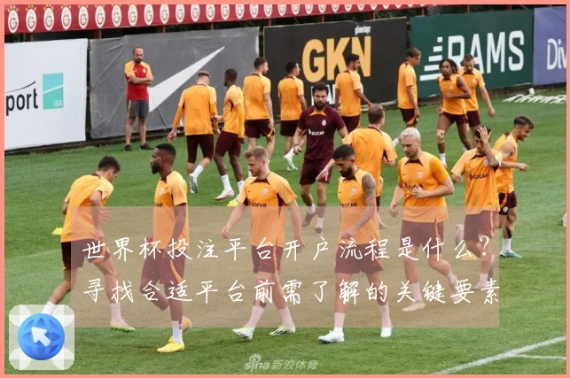 世界杯投注平台开户流程是什么？寻找合适平台前需了解的关键要素