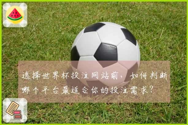 选择世界杯投注网站前，如何判断哪个平台最适合你的投注需求？