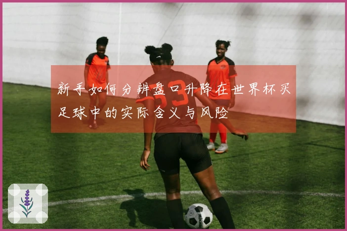 新手如何分辨盘口升降在世界杯买足球中的实际含义与风险