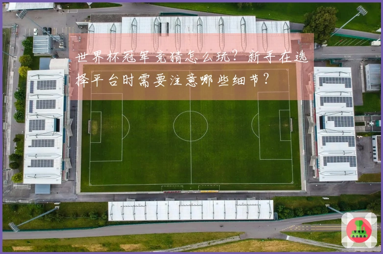 世界杯冠军竞猜怎么玩？新手在选择平台时需要注意哪些细节？