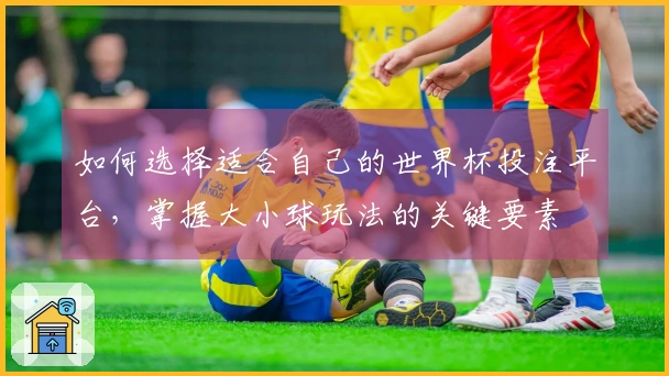 如何选择适合自己的世界杯投注平台，掌握大小球玩法的关键要素