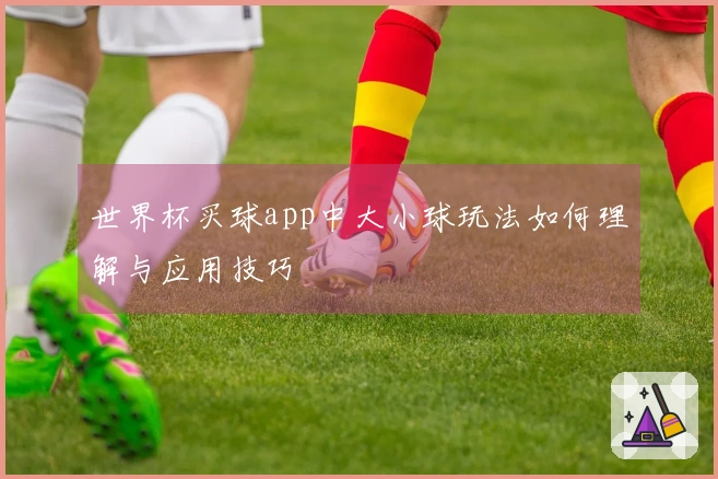 世界杯买球app中大小球玩法如何理解与应用技巧