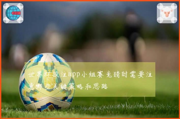 世界杯投注app小组赛竞猜时需要注意哪些关键策略和思路