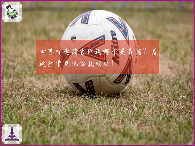 世界杯竞猜官网选哪个更靠谱？看这些常见坑你就明白！