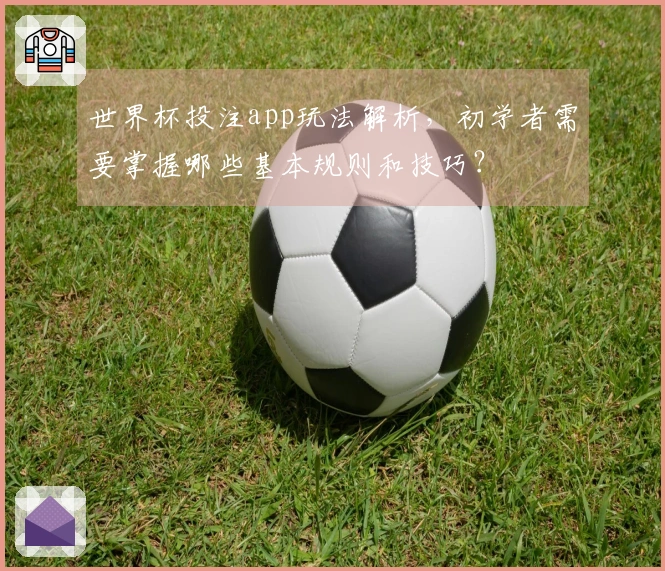 世界杯投注app玩法解析，初学者需要掌握哪些基本规则和技巧？