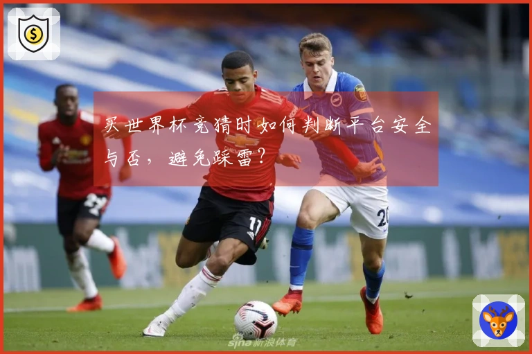 买世界杯竞猜时如何判断平台安全与否，避免踩雷？