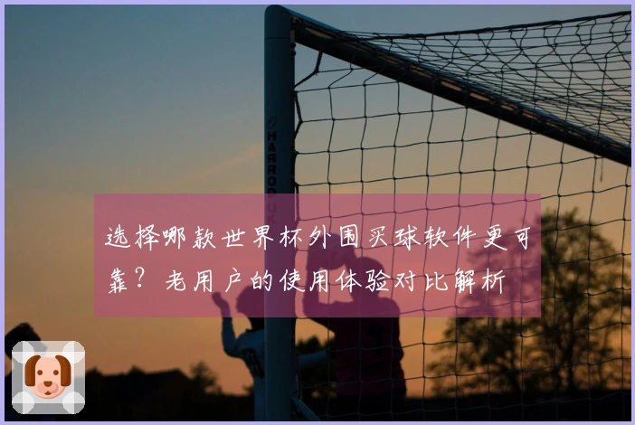 选择哪款世界杯外围买球软件更可靠？老用户的使用体验对比解析