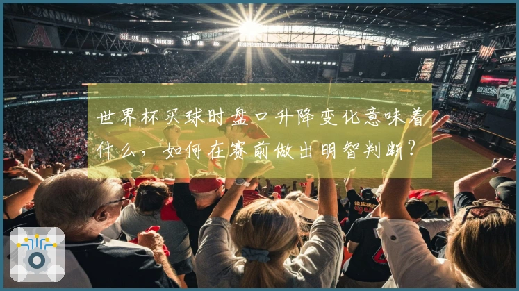 世界杯买球时盘口升降变化意味着什么，如何在赛前做出明智判断？