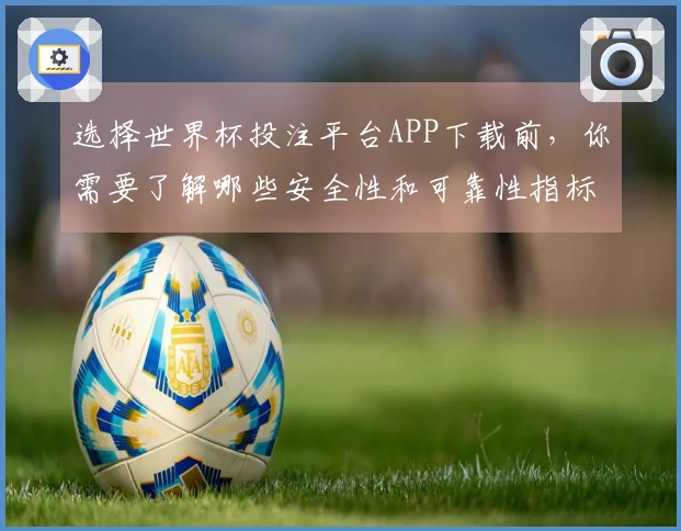 选择世界杯投注平台APP下载前，你需要了解哪些安全性和可靠性指标？