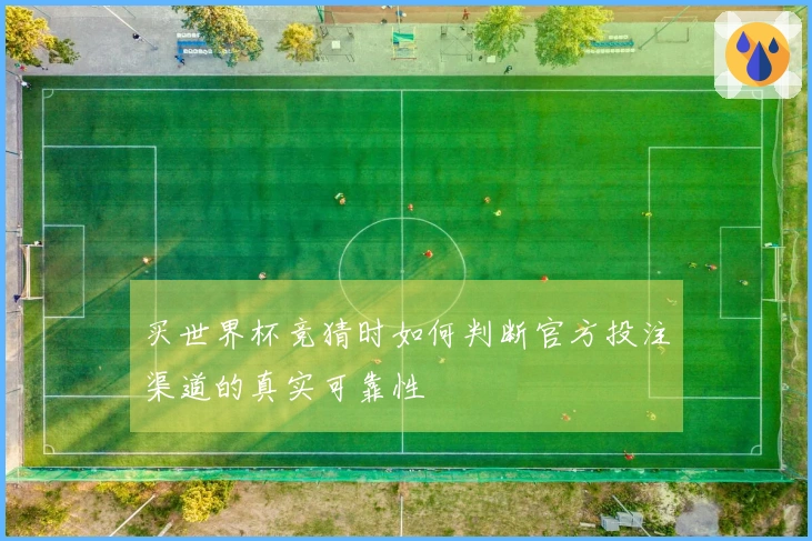 买世界杯竞猜时如何判断官方投注渠道的真实可靠性