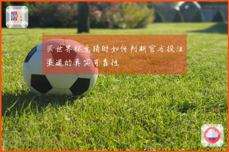 买世界杯竞猜时如何判断官方投注渠道的真实可靠性