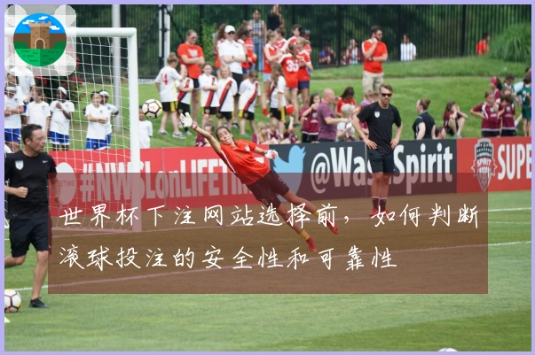 世界杯下注网站选择前，如何判断滚球投注的安全性和可靠性